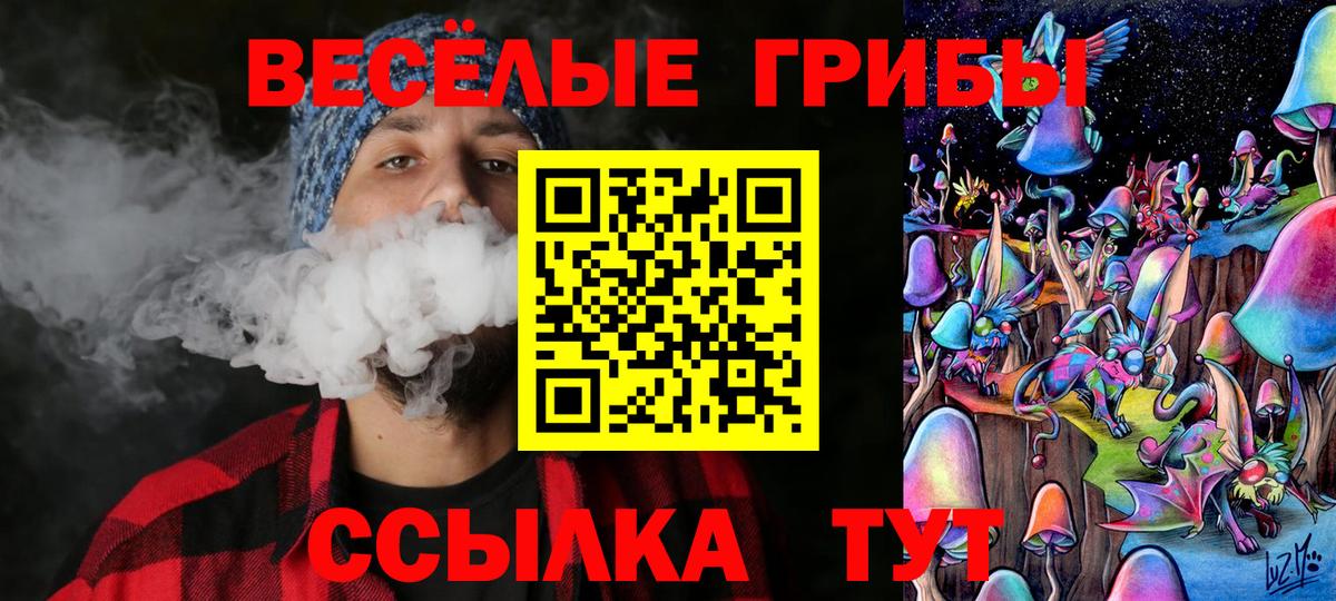 Людиново  Псилоцибиновые грибы Psilocybine cubensis  Галлюциногенные грибы Magic Shrooms  Вход с VPN 