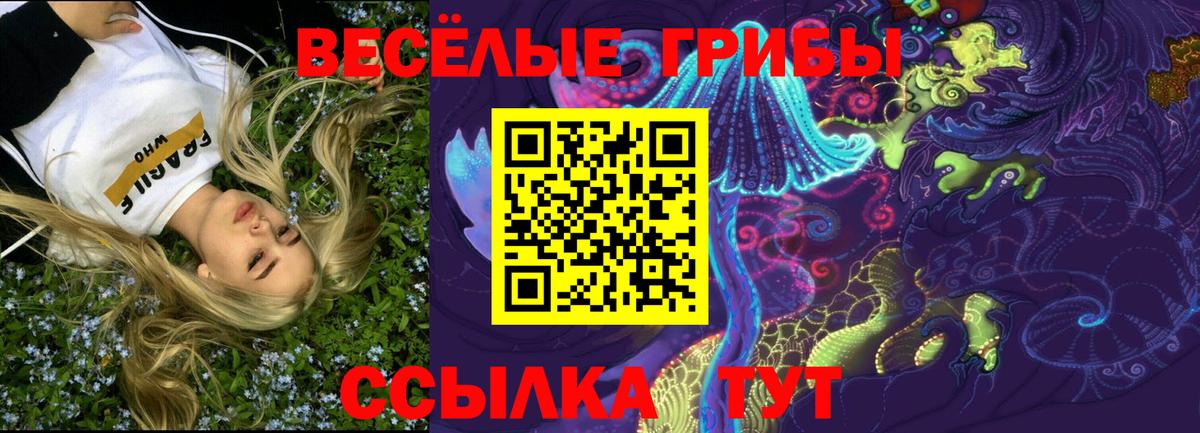Галлюциногенные грибы MAGIC MUSHROOMS Людиново